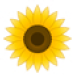 sunflower-logo